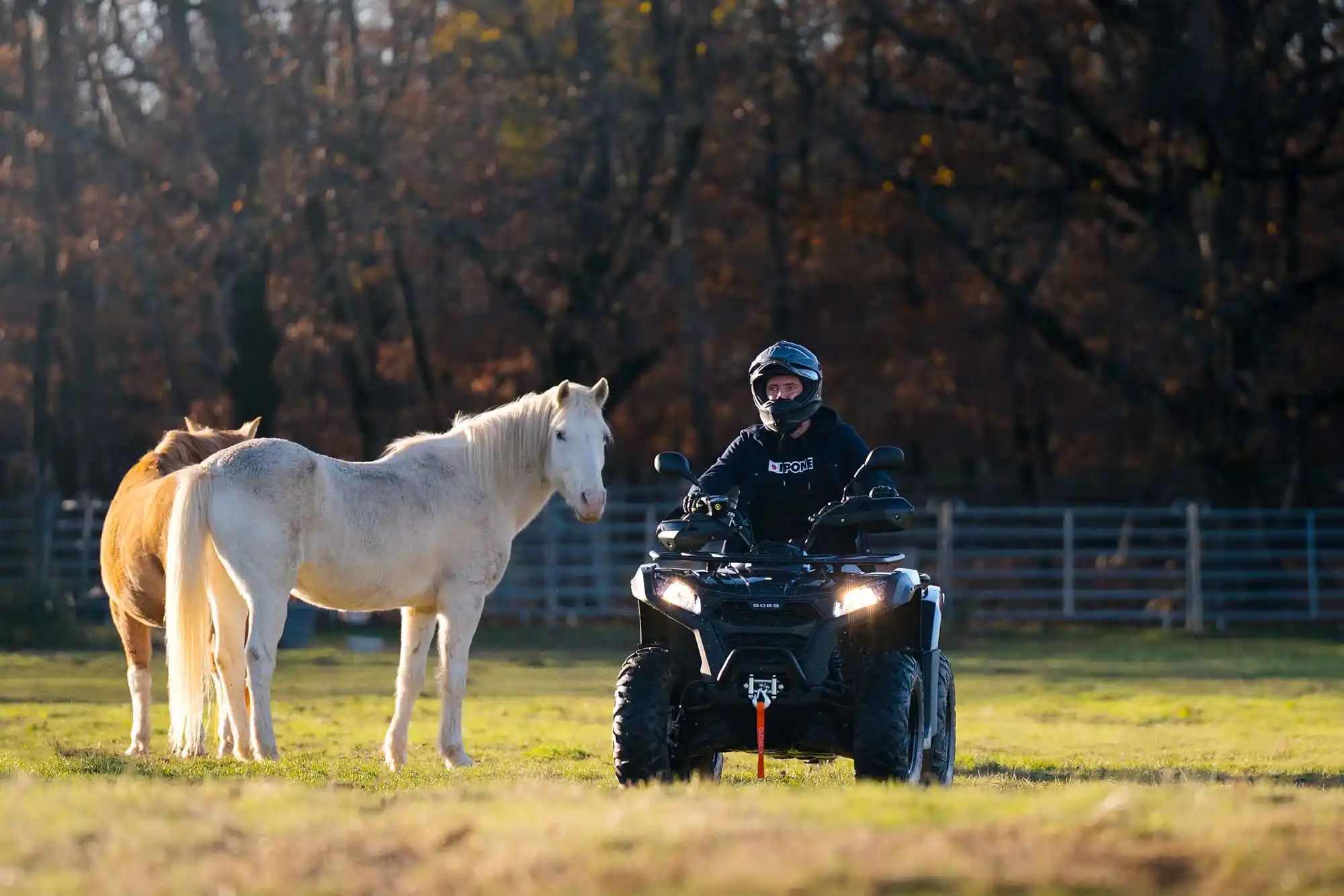 GOES Terrox 500 | SP MOTO 85